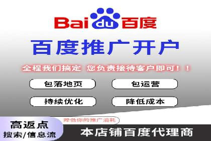 百度竞价广告案例分析：成功之道揭秘